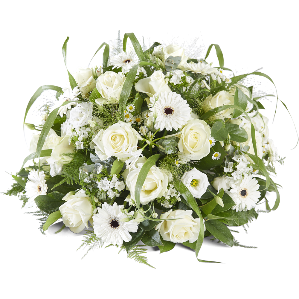 Bescheiden Bescheiden